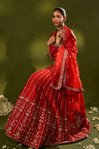 Lehenga Set Indian Wedding Red Anandi Lehenga by Chamee & Palak
