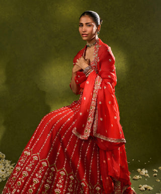 Lehenga Set Indian Wedding Red Anandi Lehenga by Chamee & Palak
