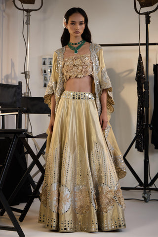 Lehenga Set for Indian Weddings – Gold Banarasi Brocade by Twenty Nine
