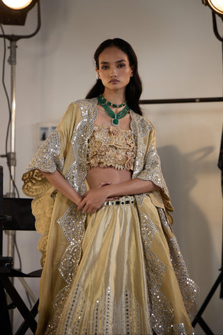 Lehenga Set for Indian Weddings – Gold Banarasi Brocade by Twenty Nine