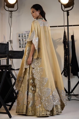 Lehenga Set for Indian Weddings – Gold Banarasi Brocade by Twenty Nine