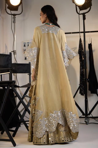 Lehenga Set for Indian Weddings – Gold Banarasi Brocade by Twenty Nine