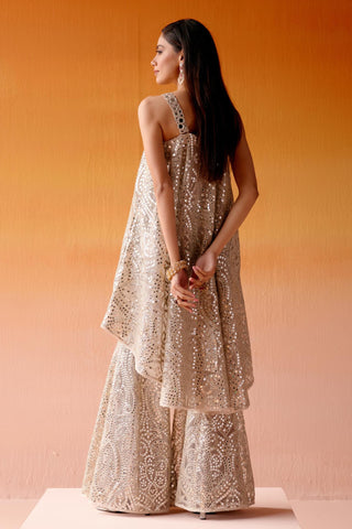 Aaina Cape Set for Indian Wedding – Silver Metallic Style by Twenty Nine