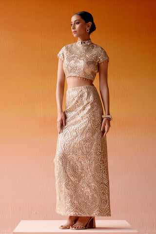 Aaina Skirt Set for Indian Wedding – Metallic Long Slit Style by Twenty Nine