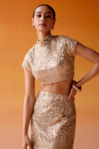 Aaina Skirt Set for Indian Wedding – Metallic Long Slit Style by Twenty Nine