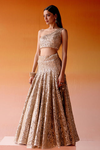 Aaina Lehenga Set for Indian Wedding – Golden Metallic Ensemble by Twenty Nine