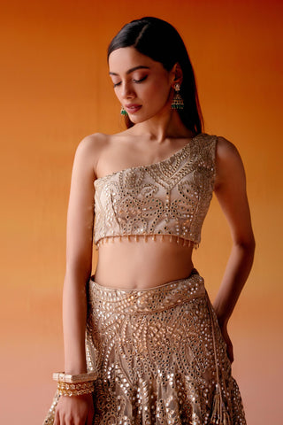 Aaina Lehenga Set for Indian Wedding – Golden Metallic Ensemble by Twenty Nine