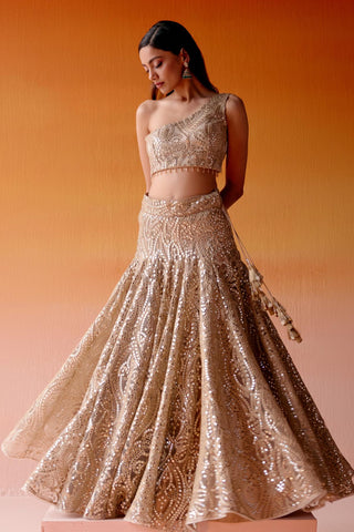 Aaina Lehenga Set for Indian Wedding – Golden Metallic Ensemble by Twenty Nine