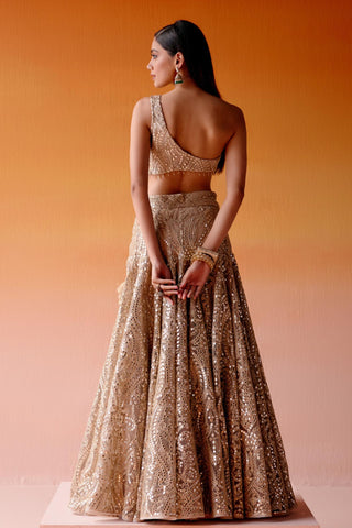 Aaina Lehenga Set for Indian Wedding – Golden Metallic Ensemble by Twenty Nine