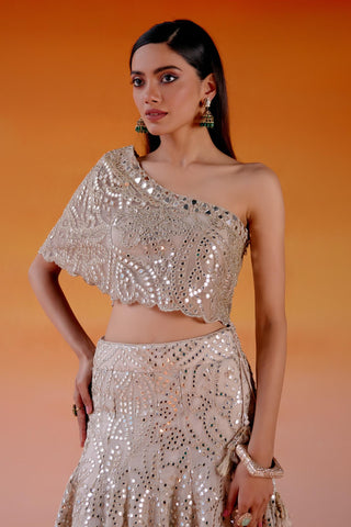 Aaina Lehenga Set for Indian Wedding – Metallic Kalidar Style by Twenty Nine