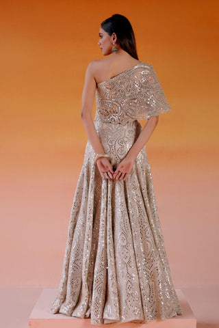 Aaina Lehenga Set for Indian Wedding – Metallic Kalidar Style by Twenty Nine