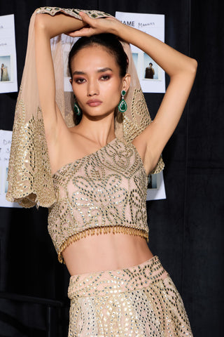 Lehenga Set for Indian Weddings – Multicolor Mirror Work by Twenty Nine