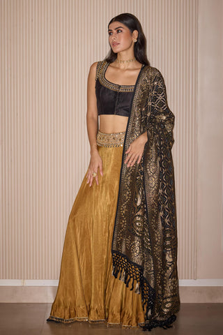 Lehenga Set for Indian Weddings – Gold Tissue by Twenty Nine