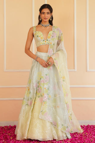 Blue dil se ikaya lehenga