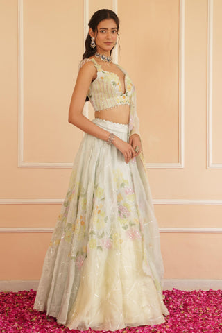 Blue dil se ikaya lehenga