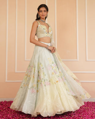 Blue dil se ikaya lehenga
