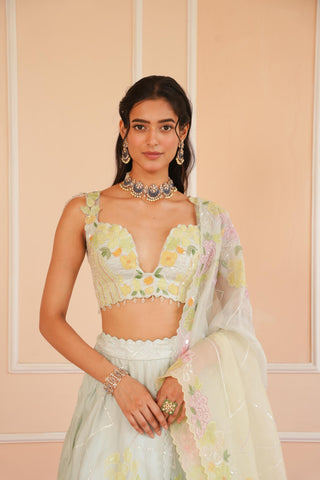 Blue dil se ikaya lehenga