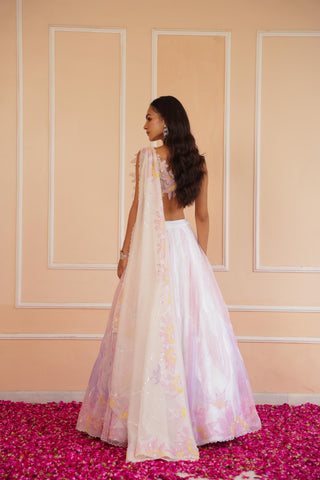 Ivory dil se kiara handpainted lehenga