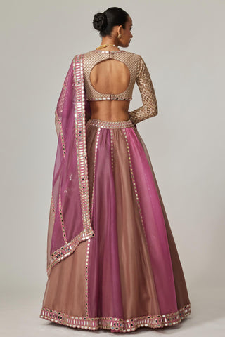 Pink multicolor noorani lehenga set
