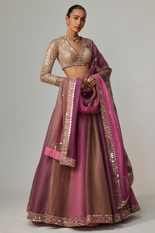 Pink multicolor noorani lehenga set