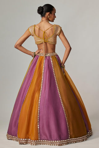 Yellow multicolor noorani linear lehenga with cap sleeve blouse