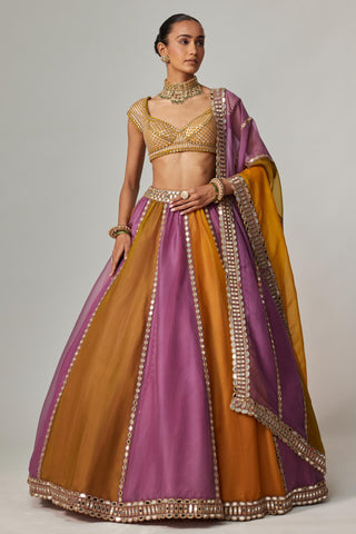 Yellow multicolor noorani linear lehenga with cap sleeve blouse