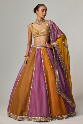 Yellow multicolor noorani linear lehenga with cap sleeve blouse