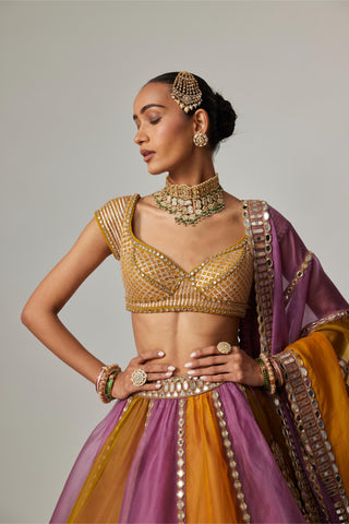 Yellow multicolor noorani linear lehenga with cap sleeve blouse