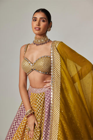 Yellow multicolor noorani big check lehenga set