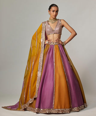 Yellow multicolor noorani linear lehenga with blouse