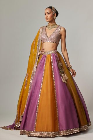 Yellow multicolor noorani linear lehenga with blouse