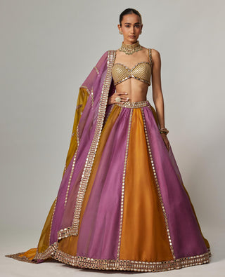 Yellow multicolor noorani linear lehenga set