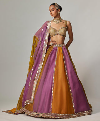 Yellow multicolor noorani linear lehenga set
