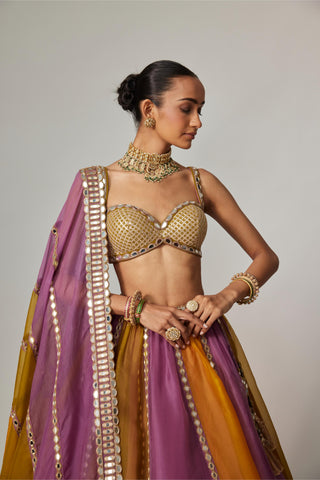 Yellow multicolor noorani linear lehenga set