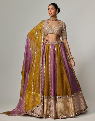 Purple multicolor noorani sequin scatter lehenga with blouse