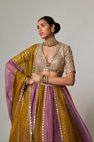 Green multicolor noorani sequin scatter lehenga with blouse