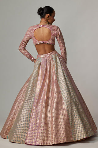 Pink multicolor noorani metallic gota crop top skirt