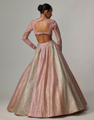 Pink multicolor noorani metallic crop top with skirt set