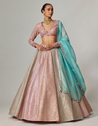 Pink multicolor noorani metallic crop top with skirt set