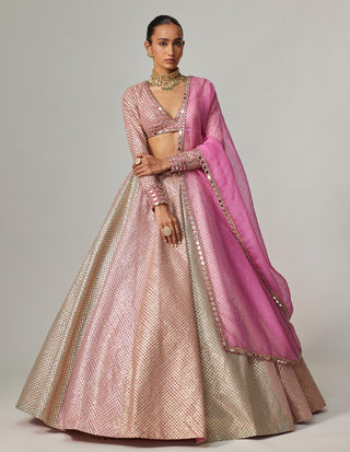 Pink multicolor noorani metallic crop top with skirt