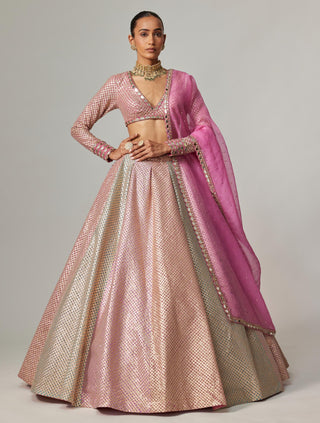 Pink multicolor noorani metallic crop top with skirt