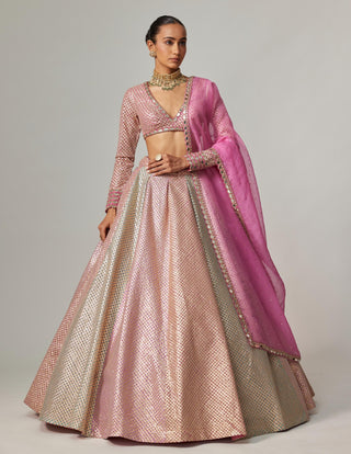 Pink multicolor noorani metallic crop top with skirt