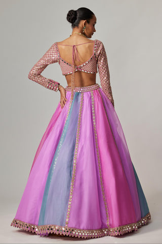 Purple multicolor noorani linear lehenga with blouse