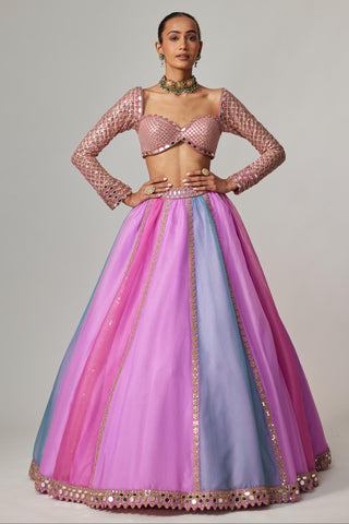 Purple multicolor noorani linear lehenga with blouse