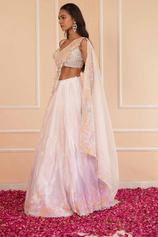 Ivory dil se kiara handpainted lehenga