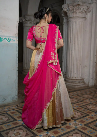 Pink multi-panelled lehenga set