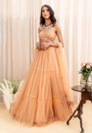 Beige crystal embellished lehenga set