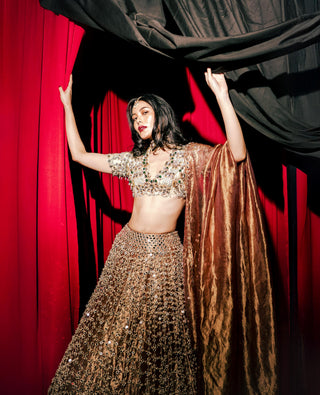 Lehenga Indian Wedding - Pink Tarakini Lehenga by Itrh