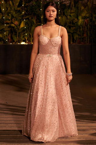 Baby pink embroidered hitch net gown