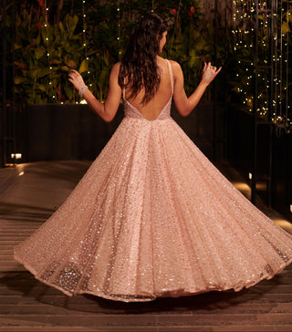 Baby pink embroidered hitch net gown